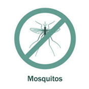 icon_mosquitos